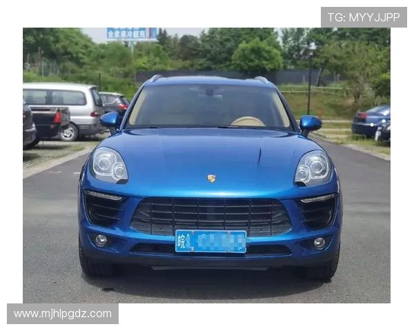 南宫娱乐旗下保时捷车主真实体验分享，了解豪华车使用感受与维护技巧